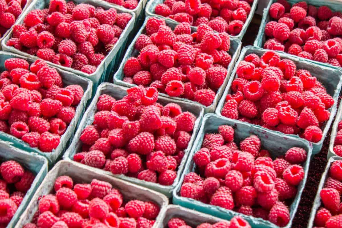 picture of raspberries