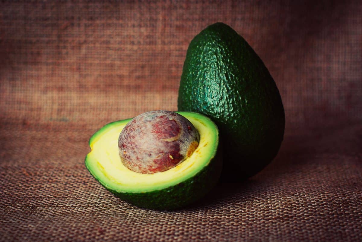 avocado as one of the food that can help lose belly fat