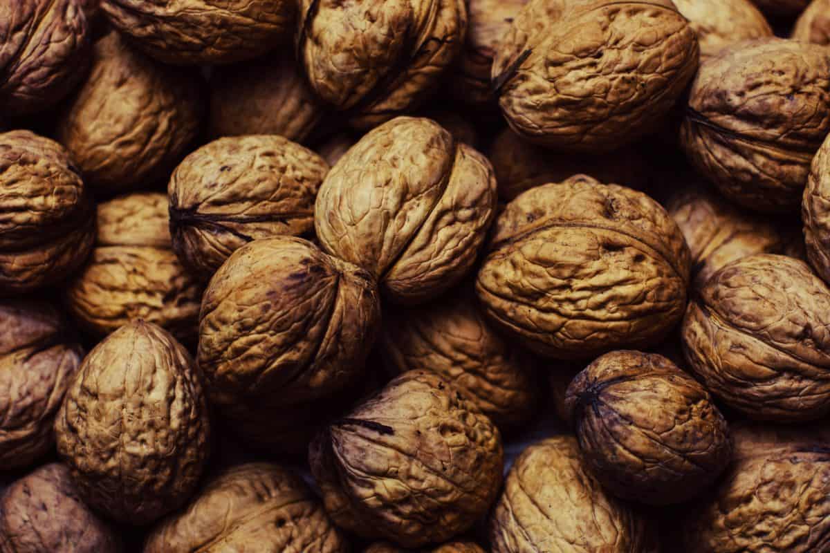 walnuts for keto diet