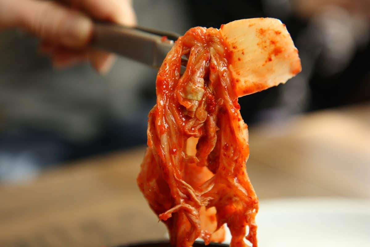 kimchi as probiotics source