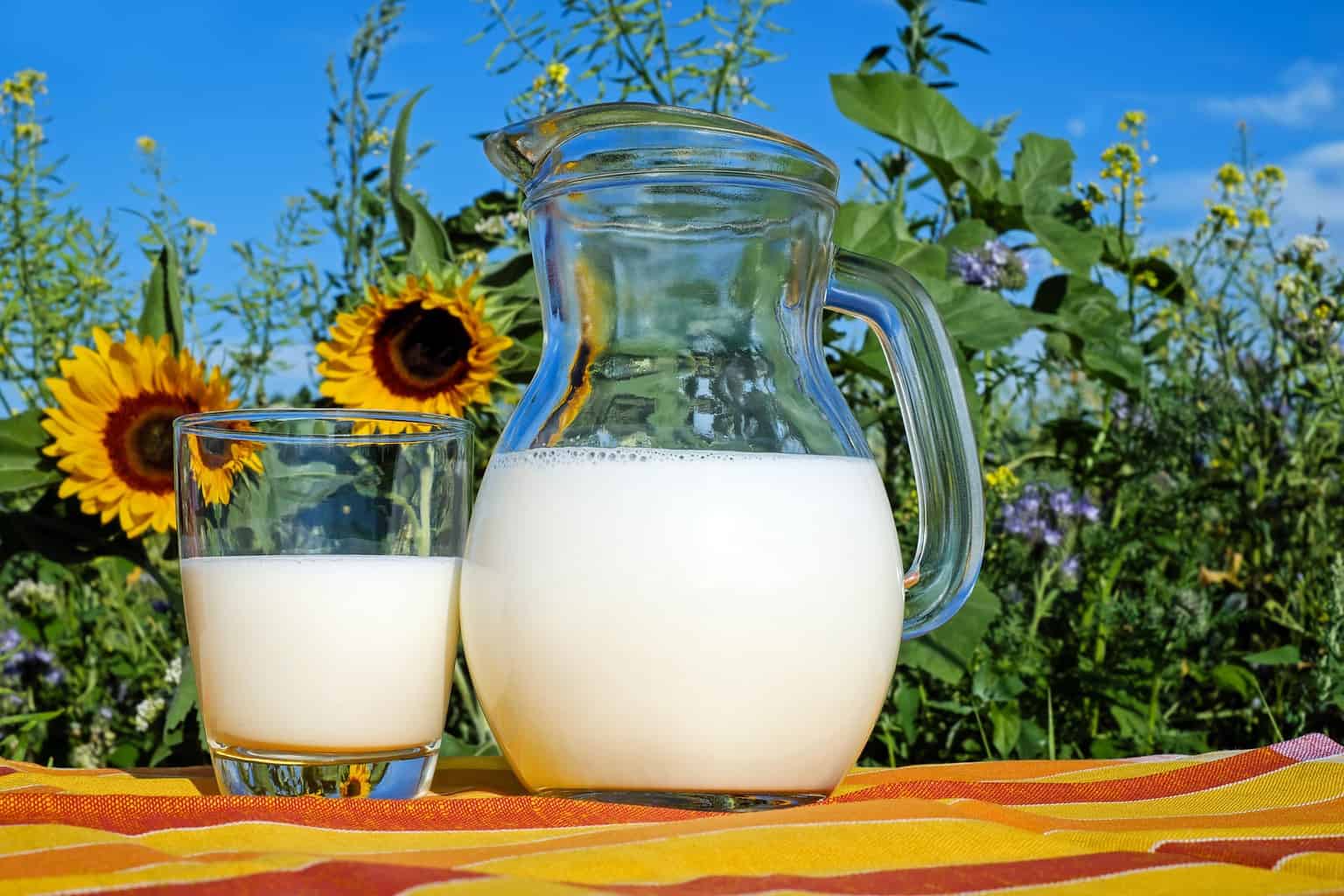 There are a jug of milk and a cup of milk with a garden scenery