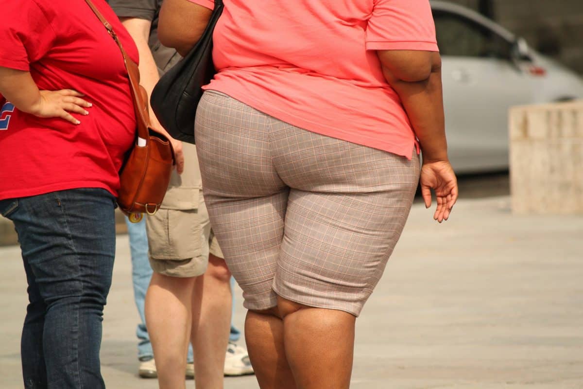 Defining Overweight and Obesity - Causes, Consequences, and Tips