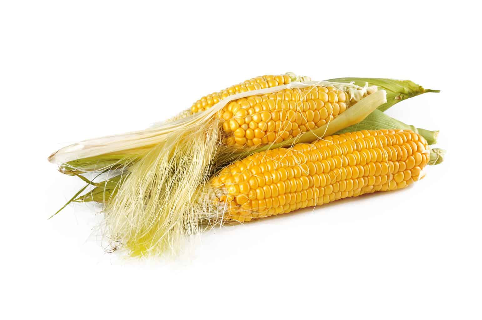 Consuming Corn to Shed Extra Pounds
