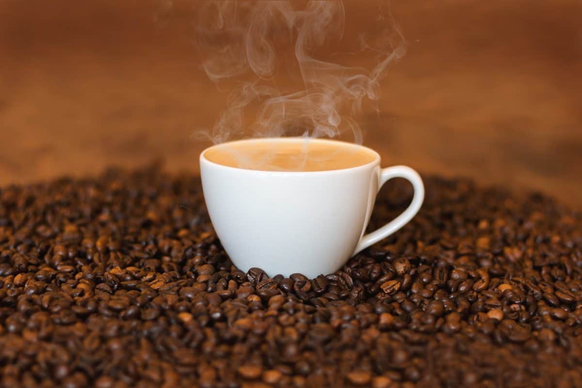 Black Coffee for Weight Loss: Pros, Cons, and Tips