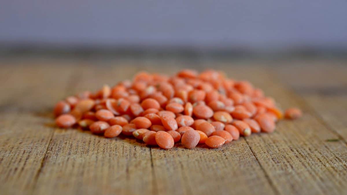 Can Beans Blast Fat and Curb Cravings